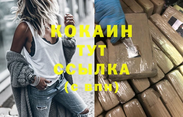 гашик Новозыбков