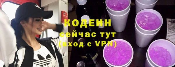 гашик Новозыбков