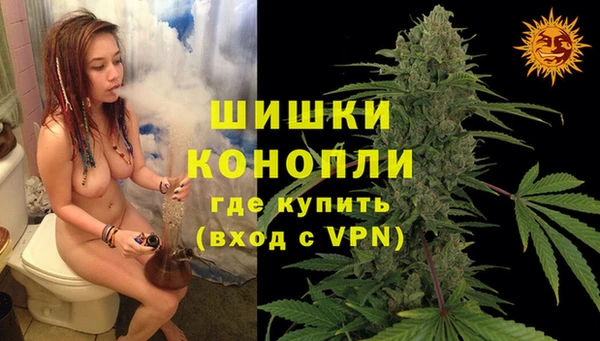 гашик Новозыбков