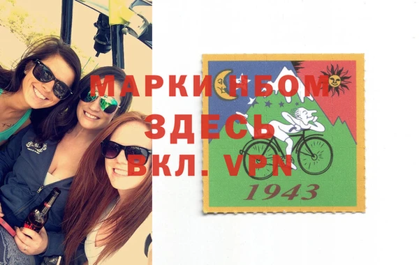 гашик Новозыбков
