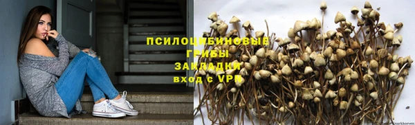 стафф Болхов