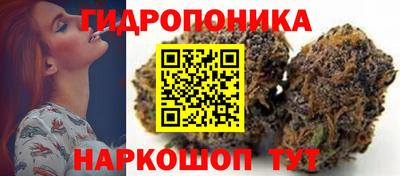 jwh Кандалакша