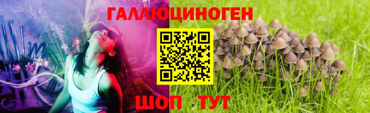 Галлюциногенные грибы прущие грибы  Вход с VPN  Ялта 