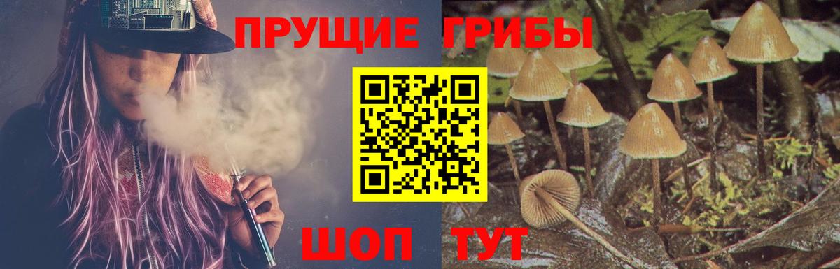 Галлюциногенные грибы Psilocybe Ялта